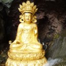 제주미당 이미지