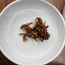 물만난 버섯 이미지