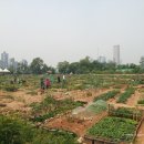 한강농장 이미지