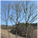 행복한하루 이미지