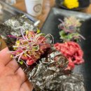 한우개비싸서차린집 이미지