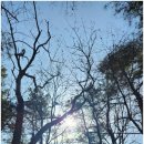 영어회화 중급 이미지