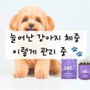 우리메디 | 강아지 체중관리 메디퍼피 체지방 영양제, 체지방 감소 위해 챙겨본 후기