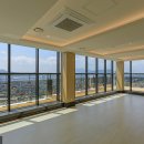 포레스트12 이미지