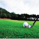 필드골프연습장 이미지