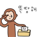 아나타노네일&큐릭스대구