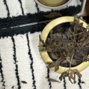 은정약국 이미지