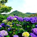 정병공인중개사사무소 이미지