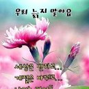 얼룩소 누렁소 과부 이미지