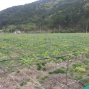 자연애농장 이미지