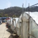 장훈농장 이미지