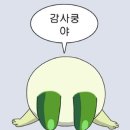 두리두리식당 | 20251231_누구의 생일을 아직 기억하고 있어?