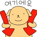 호텔그레이194 네이버블로그