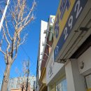 꿀벌과자점 이미지