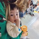 예성태권도장 | 양산동 태권도 도장 추천 본촌초등학교 앞 라움태권도