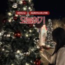 오늘 여기 | 김제 크리스마스 카페 오늘여기 솔직후기
