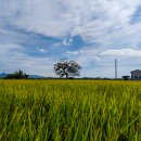 내경2리 이미지