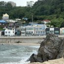 동해경찰서 천곡지구대 | [동해여행] 동해~묵호 2박3일 꼭 가야하는 동해스팟 총정리✨ 맛집, 갈만한 곳 추천 / 황금박쥐동굴...