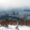 장산태권도 이미지