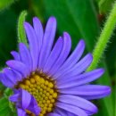 화성반월중학교 이미지