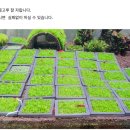 디스월드랩 - 중구 대종로 487 | '월드비'님의 표 아쿠아랩 모스활착판 사용기 입니다 (+디스치코 모스 활착)