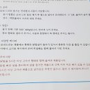 진이애견 이미지