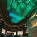 타이어명품관 | 멜버른 크라운 호텔 뷔페 Conservatory 런치 방문 후기