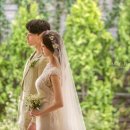 레이디로즈스튜디오