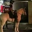 흔한 KFC 배달 이미지