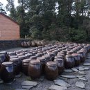 세화1리 이미지