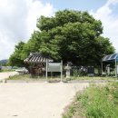 정선전씨 효부문 이미지