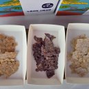 신안군민체육관 체육관 이미지