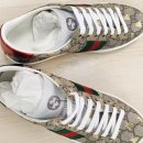 550051 | 구찌 GG 슈프림 벌 스니커즈 직접 구매 후기