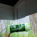 세빈분식 이미지