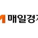 분산투자·환노출의 힘 … 폭락장서 선방한 TDF 이미지