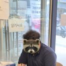 레이크오브스완