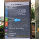 채아네일 이미지