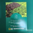 녹색채소 | 카카오톡딜로 구입한 유럽채소 5종 후기! 멀티레드·로메인·프릴아이스·스킬톤·버터헤드 특징과 영양...