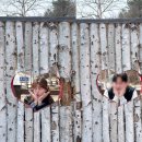 밤나무 민박 | 인제가족펜션 하추리민박 후기 자작나무숲 근처 독채 숙소 추천