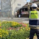 장미대교 교통섬 이미지