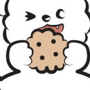 마이리틀퍼피 이미지