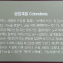 경희소금빛한의원 이미지