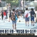 풍진 네이버블로그