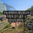 하천 | 전농생태하천 산책 후기, 이런 곳이 있었구나!
