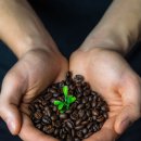 형대농장 이미지