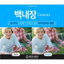 글로리서울안과의원 이미지