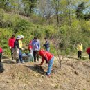 대둔산도립공원 이미지