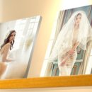 달콤한 나무 이미지