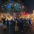 용인대흥도태권도 이미지