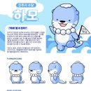 카페하모 - 서귀포시 동일하모로149번길 4 | 카페하모